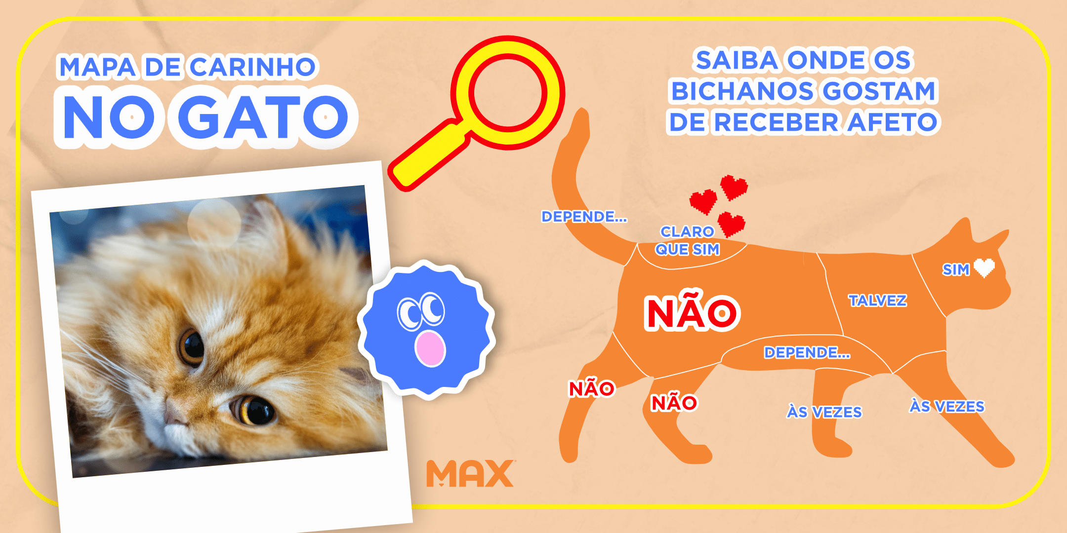 Mapa dos lugares onde o gato gosta de receber carinho